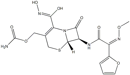 Ceftizoxime Struktur