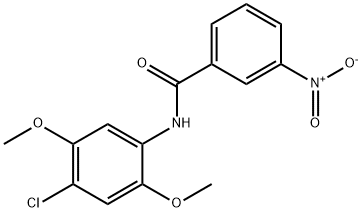 N-(4-chloro-2,5-dimethoxyphenyl)-3-nitrobenzamide Struktur