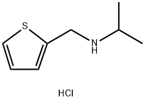 (propan-2-yl)[(thiophen-2-yl)methyl]amine hydrochloride Struktur