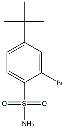 2-bromo-4-tert-butylbenzenesulfonamide Struktur