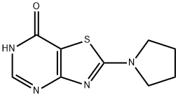 2-(pyrrolidin-1-yl)-6H,7H-[1,3]thiazolo[4,5-d]pyrimidin-7-one Struktur