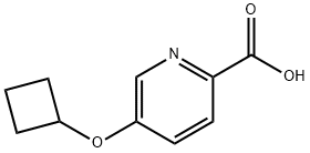 5-Cyclobutoxypyridine-2-carboxylic acid Struktur