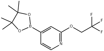 4-(4,4,5,5-Tetramethyl-1,3,2-dioxaborolan-2-yl)-2-(2,2,2-trifluoroethoxy)pyridine Struktur