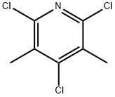 2,4,6-Trichloro-3,5-dimethyl-pyridine Struktur