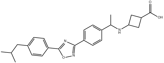 Cyclobutanecarboxylic acid, 3-[[1-[4-[5-[4-(2-methylpropyl)phenyl]-1,2,4-oxadiazol-3-yl]phenyl]ethyl]amino]- Struktur