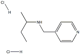 (butan-2-yl)[(pyridin-4-yl)methyl]amine dihydrochloride Struktur