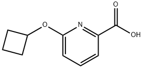 6-Cyclobutoxypyridine-2-carboxylic acid Struktur