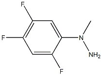 (2,4,5-trifluorophenyl)methylhydrazine Struktur