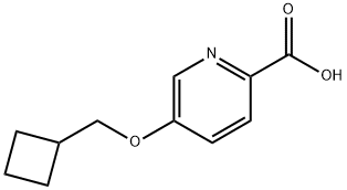 5-(Cyclobutylmethoxy)pyridine-2-carboxylic acid Struktur