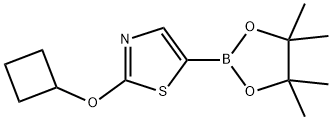 2-CYCLOBUTOXY-5-(4,4,5,5-TETRAMETHYL-1,3,2-DIOXABOROLAN-2-YL)THIAZOLE Struktur