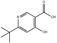 6-(TERT-BUTYL)-4-HYDROXYNICOTINIC ACID Struktur