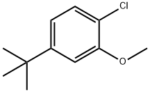 4-tert-Butyl-1-chloro-2-methoxy-benzene Struktur