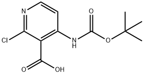 4-((tert-Butoxycarbonyl)amino)-2-chloronicotinic acid Struktur