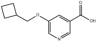 5-(Cyclobutylmethoxy)pyridine-3-carboxylic acid Struktur