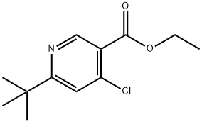 ETHYL 6-(TERT-BUTYL)-4-CHLORONICOTINATE Struktur