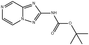 [1,2,4]Triazolo[1,5-a]pyrazin-2-yl-carbamic acid tert-butyl ester Struktur