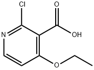 2-chloro-4-ethoxynicotinic acid Struktur