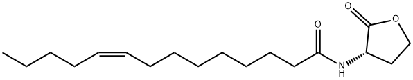 (Z)-N-[(3S)-2-oxooxolan-3-yl]tetradec-9-enamide Struktur