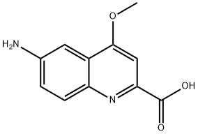 6-Amino-4-methoxy-quinoline-2-carboxylic acid Struktur