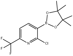 2-Chloro-3-(4,4,5,5-tetramethyl-1,3,2-dioxaborolan-2-yl)-6-(trifluoromethyl)pyridine Struktur