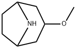 3-Methoxy-8-aza-bicyclo[3.2.1]octane Struktur