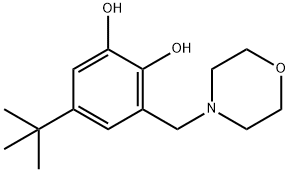 5-(tert-butyl)-3-(morpholinomethyl)benzene-1,2-diol Struktur