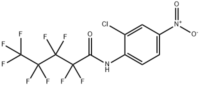 N-(2-chloro-4-nitrophenyl)-2,2,3,3,4,4,5,5,5-nonafluoropentanamide Struktur