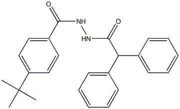 4-tert-butyl-N'-(diphenylacetyl)benzohydrazide Struktur