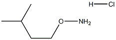 O-isopentylhydroxylamine hydrochloride Struktur