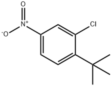 1-tert-Butyl-2-chloro-4-nitro-benzene Struktur