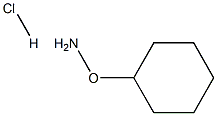 O-cyclohexylhydroxylamine hydrochloride Struktur