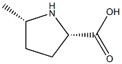 cis-5-methylpyrrolidine-2-carboxylic acid Struktur