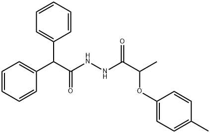 N'-(diphenylacetyl)-2-(4-methylphenoxy)propanohydrazide Struktur