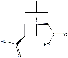 cis-3-tert-Butoxycarbonylmethyl-cyclobutanecarboxylic acid Struktur