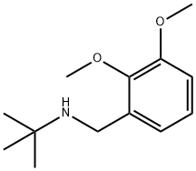 tert-butyl[(2,3-dimethoxyphenyl)methyl]amine Struktur