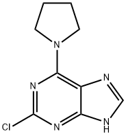 2-Chloro-6-pyrrolidin-1-yl-9H-purine Struktur