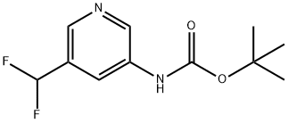 (5-Difluoromethyl-pyridin-3-yl)-carbamic acid tert-butyl ester Struktur