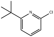 2-tert-butyl-6-chloropyridine Struktur