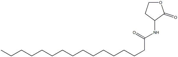 N-Hexadecanoyl-DL-homoserine lactone Struktur