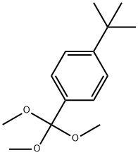 1-(tert-Butyl)-4-(trimethoxymethyl)benzene Struktur