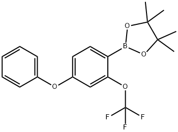 4-Methoxy-2-(trifluoromethoxy)phenylboronic acid, pinacol ester Struktur