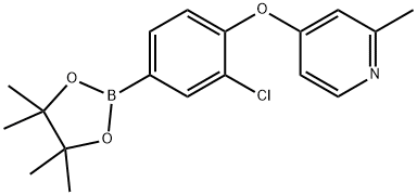 4-[4-(4,4,5,5-Tetramethyl[1,3,2]dioxaborolan-2-yl)-2-chlorophenoxy]-2-methylpyridine Struktur