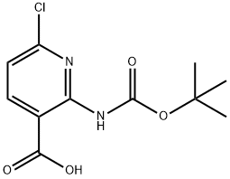 2-Boc-amino-6-chloro-nicotinic acid Struktur