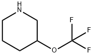 3-(TRIFLUOROMETHOXY)PIPERIDINE Struktur