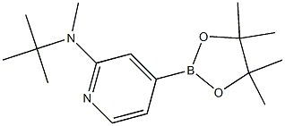 N-tert-butyl-N-methyl-4-(4,4,5,5-tetramethyl-1,3,2-dioxaborolan-2-yl)pyridin-2-amine Struktur