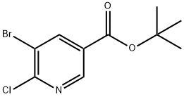 5-Bromo-6-chloro-nicotinic acid tert-butyl ester Struktur