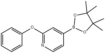 2-Phenoxypyridine-4-boronic acid pinacol ester Struktur