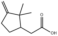 (2,2-dimethyl-3-methylenecyclopentyl)acetic acid Struktur