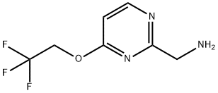 C-[4-(2,2,2-Trifluoro-ethoxy)-pyrimidin-2-yl]-methylamine Struktur