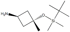 cis-3-(tert-Butyldimethylsilyloxy)-3-methylcyclobutanamine Struktur